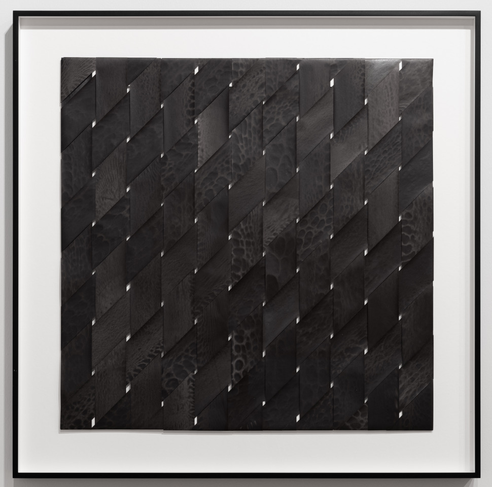 Pluriverse. Graves Gallery 