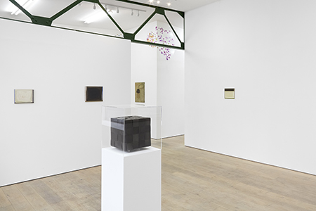 Contour Lines. <br> Sid Motion Gallery